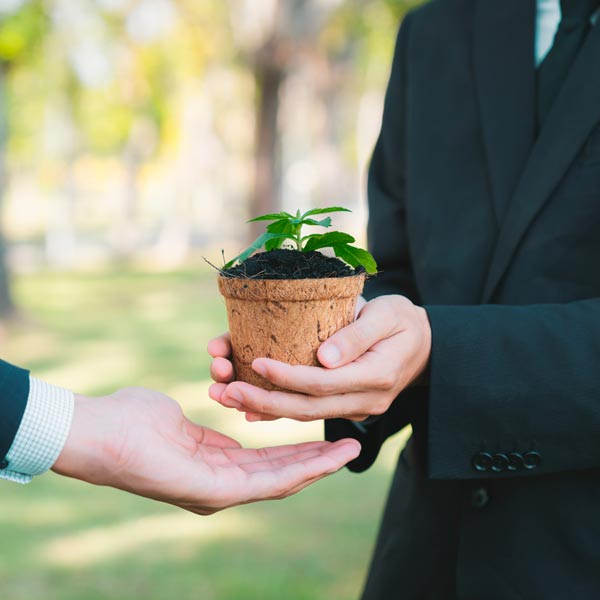 Impresa Pompe Funebri Milano: Celebriamo Insieme la Vita Impresa Pompe Funebri Milano: albero della vita dato alla famiglia del defunto