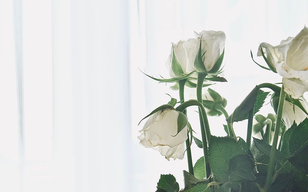 Tanatoprassi Milano: di Cosa si Tratta?